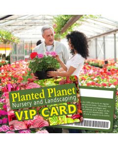 Plastic Customer Loyalty & Membership Cards